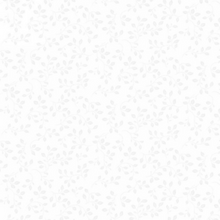 Load image into Gallery viewer, Folio Basics